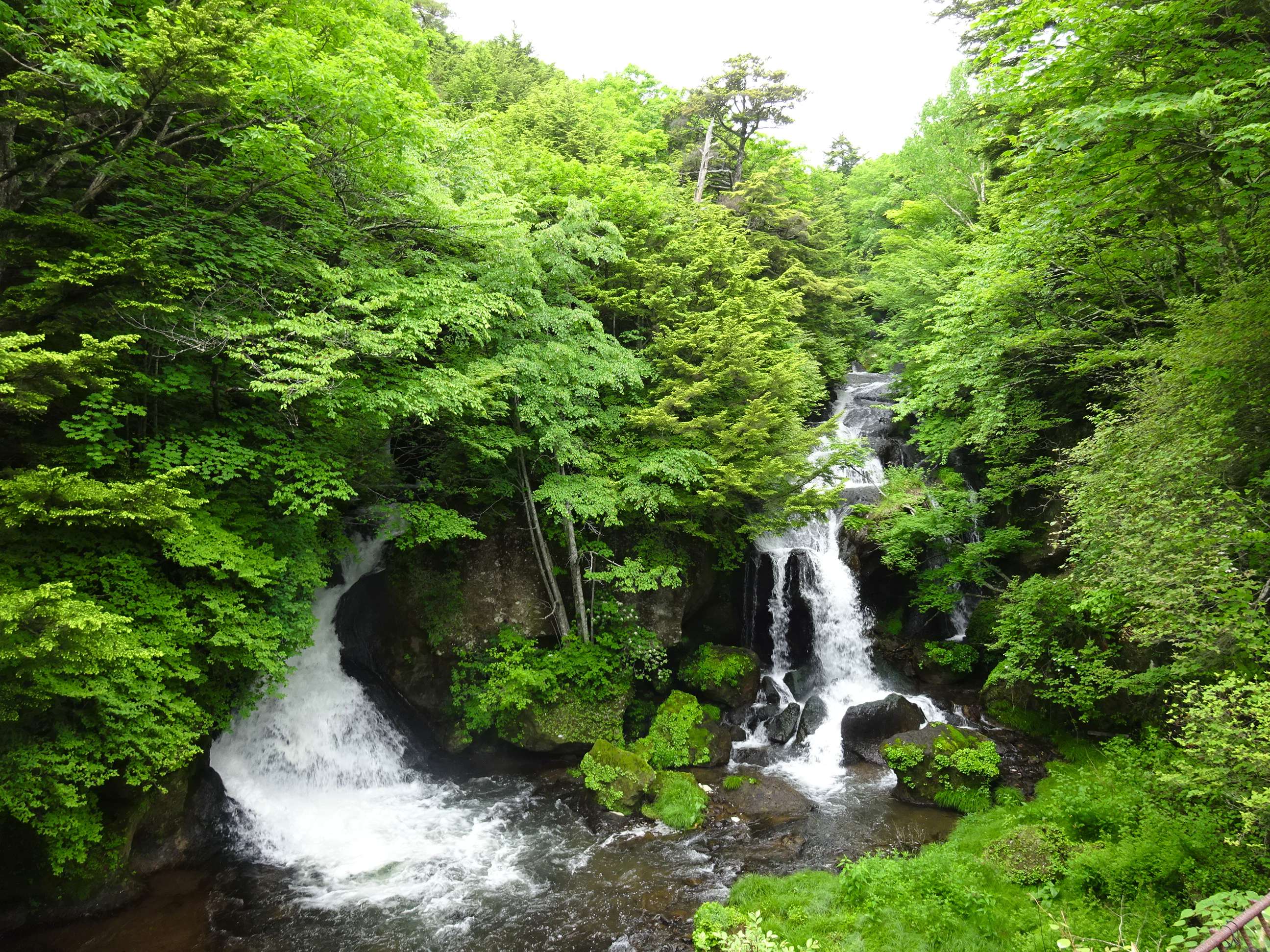 🏞️ 용두 폭포(류즈노타키) 이미지 1